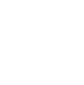 WatchGuard Security